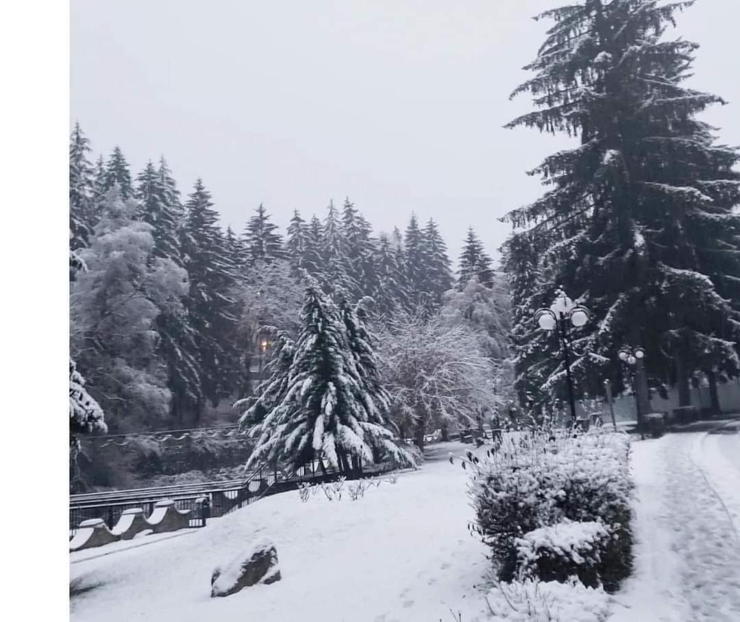 Vila Nicoleta Băile Olăneşti 외부 사진
