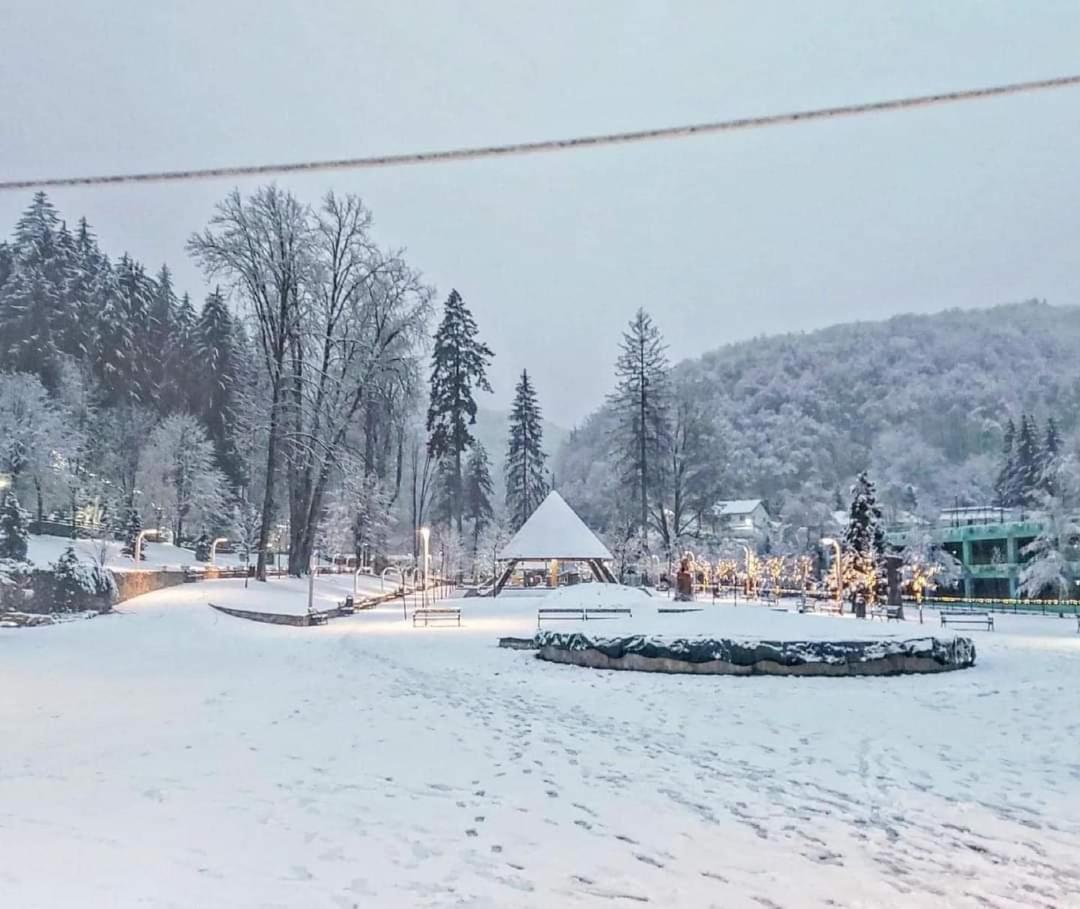 Vila Nicoleta Băile Olăneşti 외부 사진
