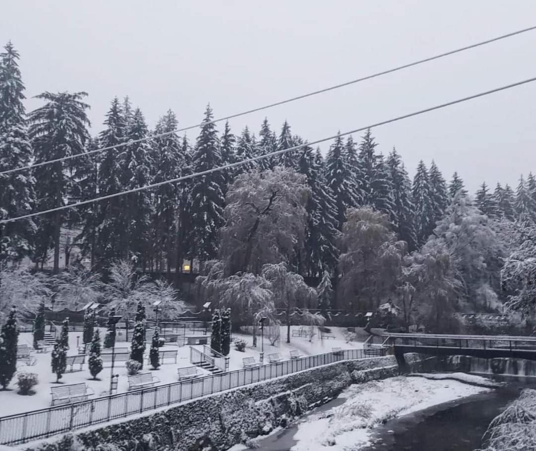 Vila Nicoleta Băile Olăneşti 외부 사진